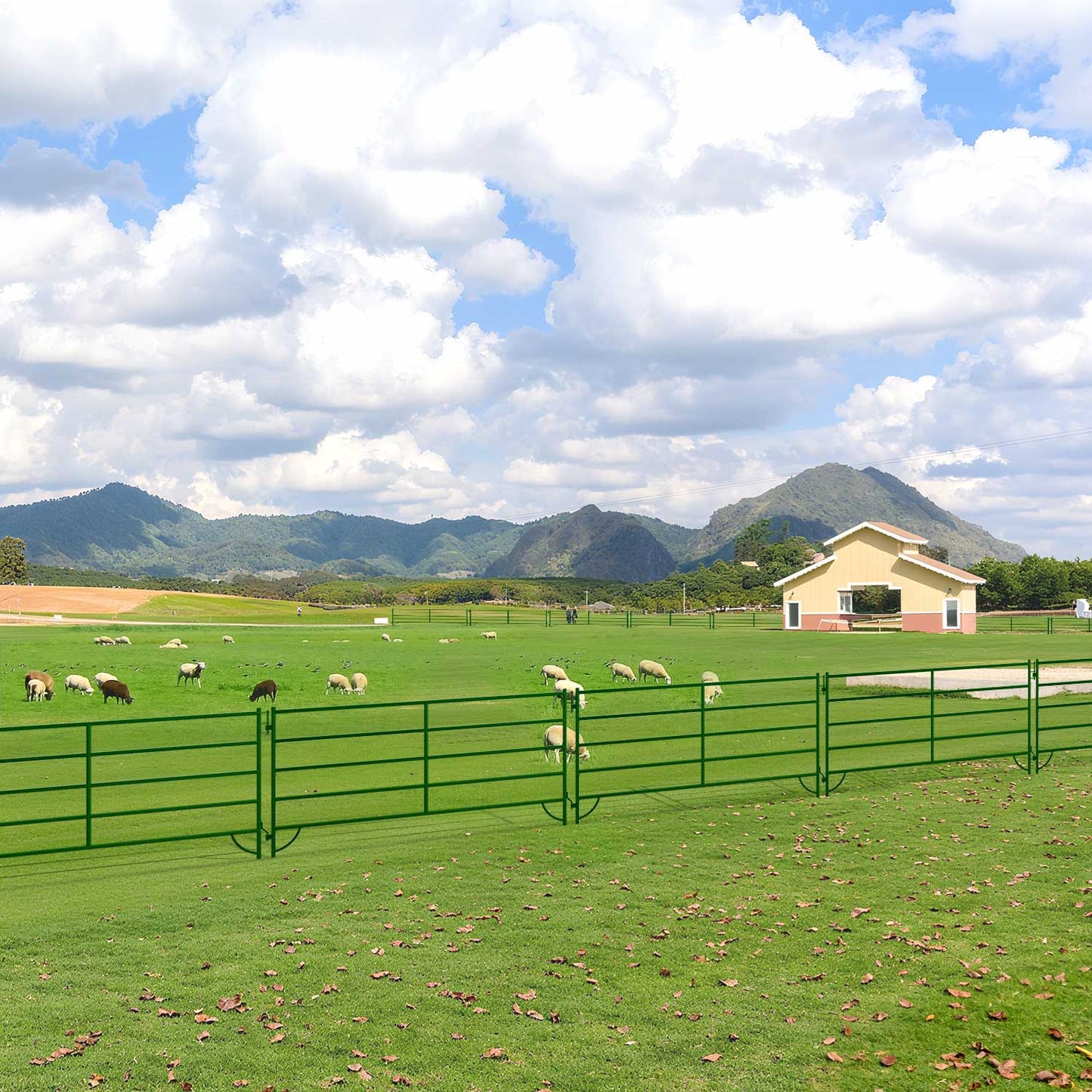 10x5 ft Cattle Panels Livestock Fence Panels, 28pcs